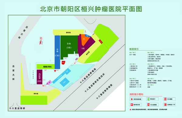 操小逼逼HD北京市朝阳区桓兴肿瘤医院平面图